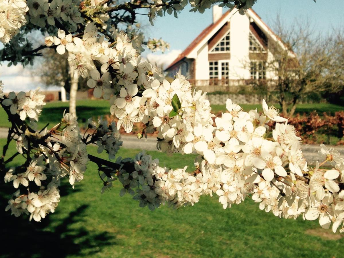 Bed and Breakfast Margretelyst Farsø Esterno foto
