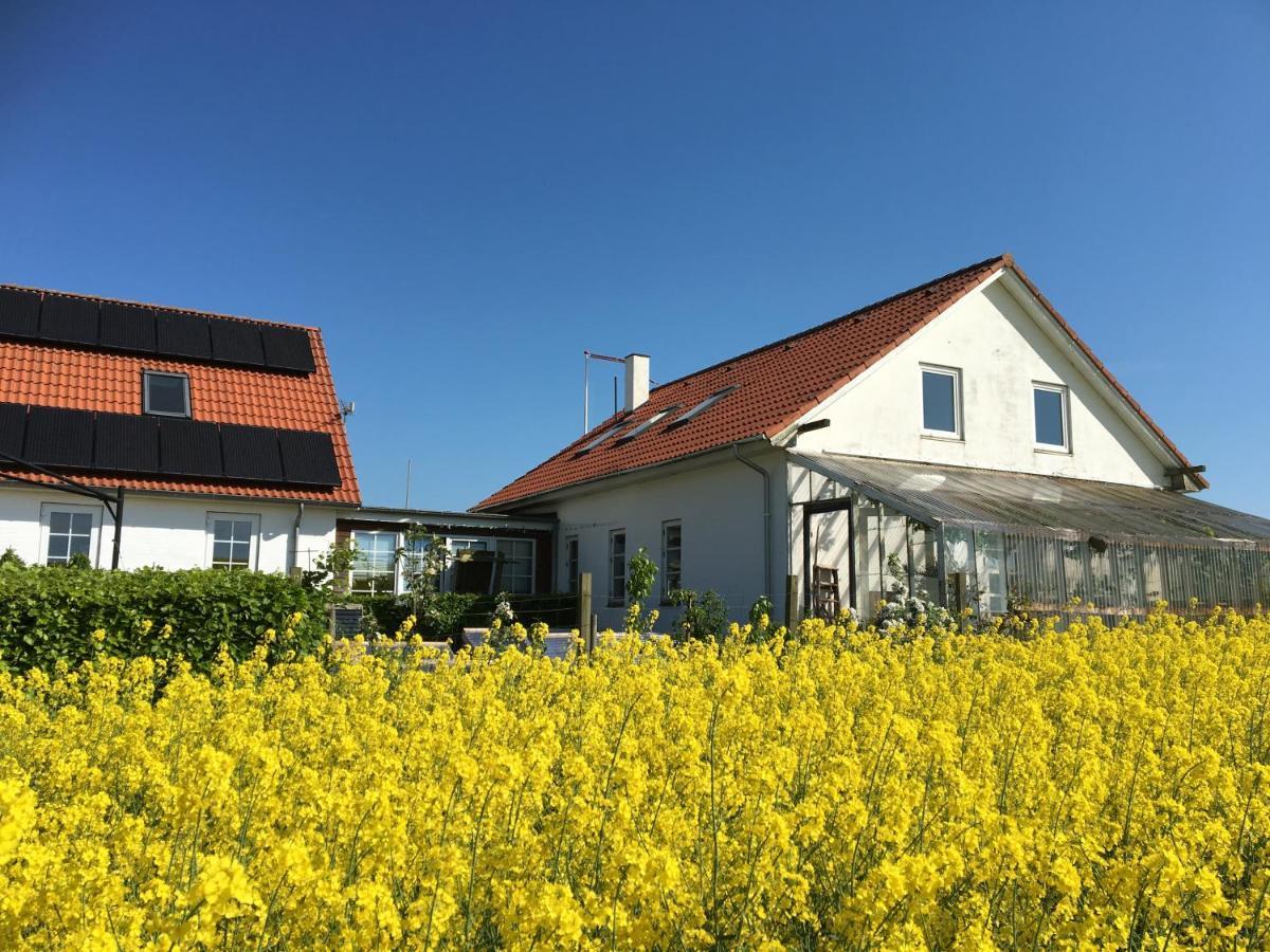 Bed and Breakfast Margretelyst Farsø Esterno foto