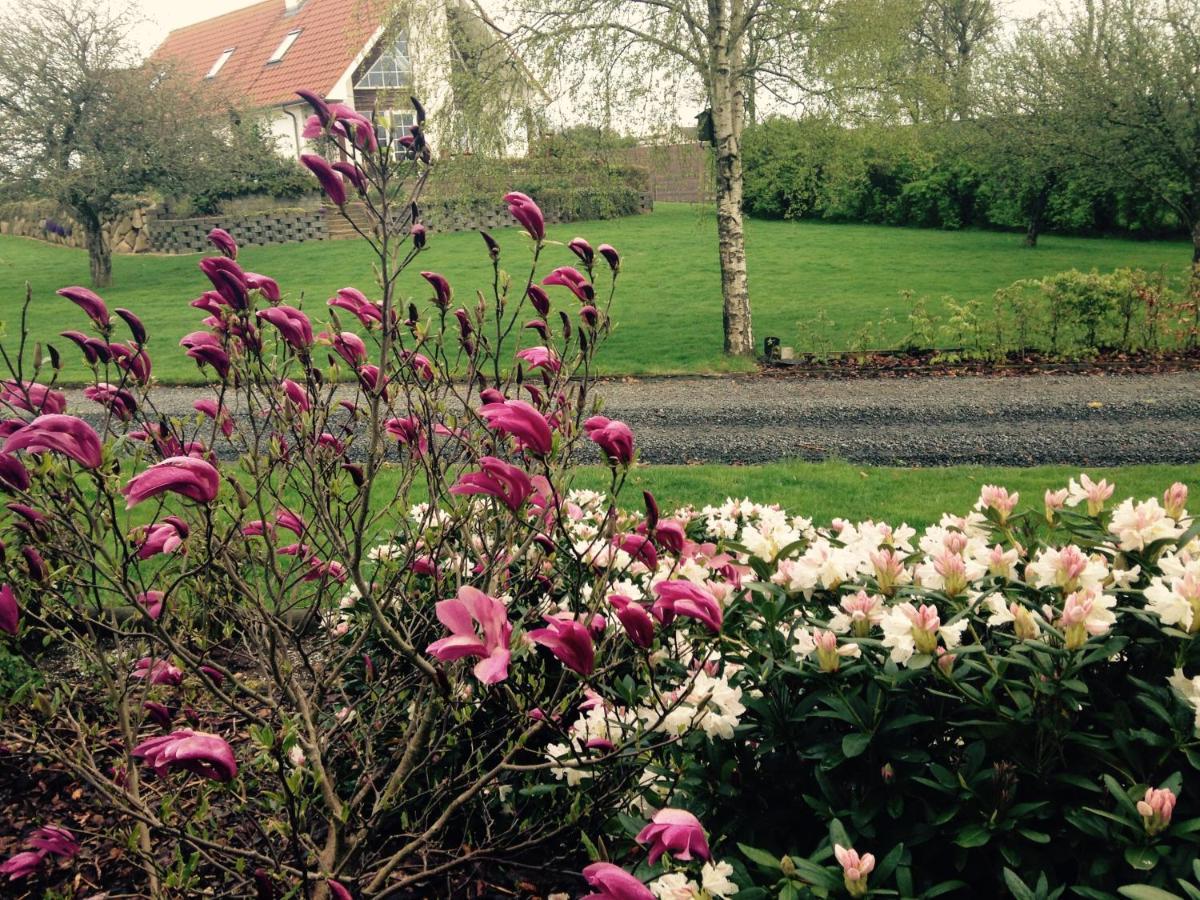 Bed and Breakfast Margretelyst Farsø Esterno foto